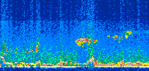 /calipso-imagery/data/BROWSE/production/V5-00/2017-10-06/2017-10-06_22-21-42_V5.00_2_thmb.png image missing