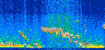/calipso-imagery/data/BROWSE/production/V5-00/2017-10-08/2017-10-08_00-43-41_V5.00_2_thmb.png image missing