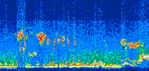 /calipso-imagery/data/BROWSE/production/V5-00/2017-10-08/2017-10-08_04-01-26_V5.00_3_thmb.png image missing