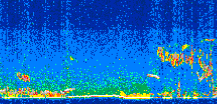 /calipso-imagery/data/BROWSE/production/V5-00/2017-10-08/2017-10-08_05-40-16_V5.00_2_thmb.png image missing