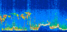/calipso-imagery/data/BROWSE/production/V5-00/2017-10-08/2017-10-08_07-19-11_V5.00_3_thmb.png image missing