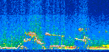 /calipso-imagery/data/BROWSE/production/V5-00/2017-10-08/2017-10-08_08-58-02_V5.00_2_thmb.png image missing