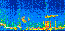 /calipso-imagery/data/BROWSE/production/V5-00/2017-10-08/2017-10-08_15-33-33_V5.00_2_thmb.png image missing