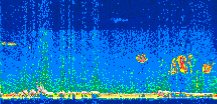 /calipso-imagery/data/BROWSE/production/V5-00/2017-10-08/2017-10-08_22-09-03_V5.00_3_thmb.png image missing