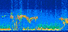 /calipso-imagery/data/BROWSE/production/V5-00/2017-10-15/2017-10-15_00-48-53_V5.00_3_thmb.png image missing