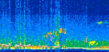 /calipso-imagery/data/BROWSE/production/V5-00/2017-11-02/2017-11-02_05-31-26_V5.00_2_thmb.png image missing