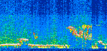 /calipso-imagery/data/BROWSE/production/V5-00/2017-11-02/2017-11-02_23-39-09_V5.00_2_thmb.png image missing