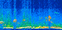 /calipso-imagery/data/BROWSE/production/V5-00/2017-11-03/2017-11-03_01-17-59_V5.00_2_thmb.png image missing