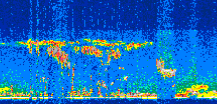 /calipso-imagery/data/BROWSE/production/V5-00/2017-11-03/2017-11-03_04-35-45_V5.00_3_thmb.png image missing