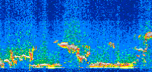 /calipso-imagery/data/BROWSE/production/V5-00/2017-11-11/2017-11-11_02-06-50_V5.00_2_thmb.png image missing