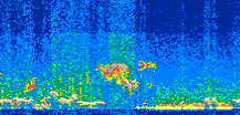 /calipso-imagery/data/BROWSE/production/V5-00/2017-11-11/2017-11-11_08-42-21_V5.00_2_thmb.png image missing