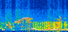 /calipso-imagery/data/BROWSE/production/V5-00/2017-11-11/2017-11-11_18-35-37_V5.00_2_thmb.png image missing
