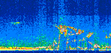 /calipso-imagery/data/BROWSE/production/V5-00/2017-11-11/2017-11-11_21-53-23_V5.00_3_thmb.png image missing