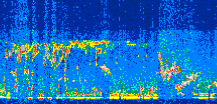/calipso-imagery/data/BROWSE/production/V5-00/2017-11-12/2017-11-12_04-28-54_V5.00_3_thmb.png image missing