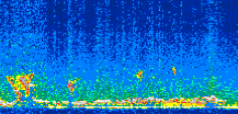 /calipso-imagery/data/BROWSE/production/V5-00/2017-11-12/2017-11-12_20-57-41_V5.00_2_thmb.png image missing