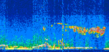/calipso-imagery/data/BROWSE/production/V5-00/2017-11-12/2017-11-12_20-57-41_V5.00_3_thmb.png image missing