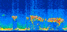 /calipso-imagery/data/BROWSE/production/V5-00/2017-11-12/2017-11-12_22-36-31_V5.00_3_thmb.png image missing