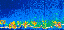 /calipso-imagery/data/BROWSE/production/V5-00/2017-11-13/2017-11-13_01-54-17_V5.00_1_thmb.png image missing