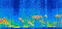 /calipso-imagery/data/BROWSE/production/V5-00/2017-11-13/2017-11-13_11-47-33_V5.00_2_thmb.png image missing