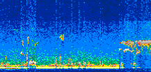 /calipso-imagery/data/BROWSE/production/V5-00/2017-11-14/2017-11-14_00-58-35_V5.00_3_thmb.png image missing