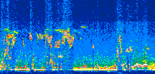 /calipso-imagery/data/BROWSE/production/V5-00/2017-11-14/2017-11-14_04-16-20_V5.00_3_thmb.png image missing
