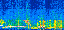 /calipso-imagery/data/BROWSE/production/V5-00/2017-11-14/2017-11-14_19-06-17_V5.00_2_thmb.png image missing