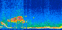 /calipso-imagery/data/BROWSE/production/V5-00/2017-11-21/2017-11-21_10-57-38_V5.00_2_thmb.png image missing