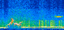 /calipso-imagery/data/BROWSE/production/V5-00/2017-11-21/2017-11-21_19-12-00_V5.00_2_thmb.png image missing
