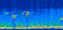 /calipso-imagery/data/BROWSE/production/V5-00/2017-11-26/2017-11-26_03-01-29_V5.00_3_thmb.png image missing