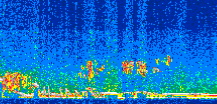 /calipso-imagery/data/BROWSE/production/V5-00/2017-11-26/2017-11-26_06-19-14_V5.00_2_thmb.png image missing