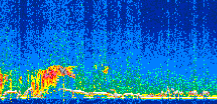 /calipso-imagery/data/BROWSE/production/V5-00/2017-11-26/2017-11-26_07-58-09_V5.00_2_thmb.png image missing