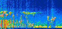 /calipso-imagery/data/BROWSE/production/V5-00/2017-11-26/2017-11-26_17-51-25_V5.00_3_thmb.png image missing