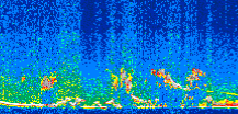 /calipso-imagery/data/BROWSE/production/V5-00/2017-11-27/2017-11-27_02-05-52_V5.00_2_thmb.png image missing