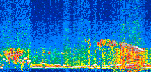 /calipso-imagery/data/BROWSE/production/V5-00/2017-11-27/2017-11-27_13-37-58_V5.00_2_thmb.png image missing