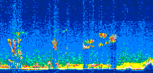 /calipso-imagery/data/BROWSE/production/V5-00/2017-12-02/2017-12-02_08-59-44_V5.00_3_thmb.png image missing
