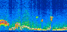 /calipso-imagery/data/BROWSE/production/V5-00/2017-12-02/2017-12-02_22-10-45_V5.00_2_thmb.png image missing