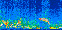 /calipso-imagery/data/BROWSE/production/V5-00/2017-12-03/2017-12-03_06-25-07_V5.00_2_thmb.png image missing