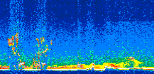 /calipso-imagery/data/BROWSE/production/V5-00/2017-12-03/2017-12-03_09-42-52_V5.00_3_thmb.png image missing