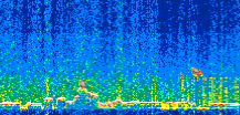 /calipso-imagery/data/BROWSE/production/V5-00/2017-12-03/2017-12-03_13-00-42_V5.00_2_thmb.png image missing