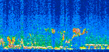 /calipso-imagery/data/BROWSE/production/V5-00/2017-12-03/2017-12-03_21-15-03_V5.00_2_thmb.png image missing