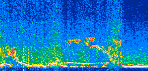 /calipso-imagery/data/BROWSE/production/V5-00/2017-12-11/2017-12-11_00-38-52_V5.00_2_thmb.png image missing