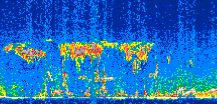 /calipso-imagery/data/BROWSE/production/V5-00/2017-12-11/2017-12-11_03-56-37_V5.00_3_thmb.png image missing