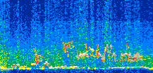 /calipso-imagery/data/BROWSE/production/V5-00/2017-12-11/2017-12-11_05-35-27_V5.00_2_thmb.png image missing