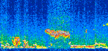 /calipso-imagery/data/BROWSE/production/V5-00/2017-12-11/2017-12-11_10-32-08_V5.00_2_thmb.png image missing