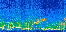 /calipso-imagery/data/BROWSE/production/V5-00/2017-12-11/2017-12-11_12-11-03_V5.00_2_thmb.png image missing