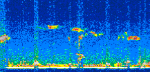 /calipso-imagery/data/BROWSE/production/V5-00/2017-12-11/2017-12-11_23-43-10_V5.00_3_thmb.png image missing