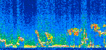/calipso-imagery/data/BROWSE/production/V5-00/2017-12-12/2017-12-12_09-36-31_V5.00_2_thmb.png image missing