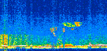/calipso-imagery/data/BROWSE/production/V5-00/2017-12-12/2017-12-12_14-33-07_V5.00_3_thmb.png image missing