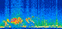 /calipso-imagery/data/BROWSE/production/V5-00/2017-12-12/2017-12-12_19-29-47_V5.00_2_thmb.png image missing