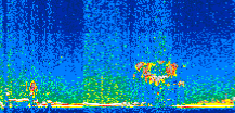 /calipso-imagery/data/BROWSE/production/V5-00/2017-12-13/2017-12-13_08-40-49_V5.00_2_thmb.png image missing